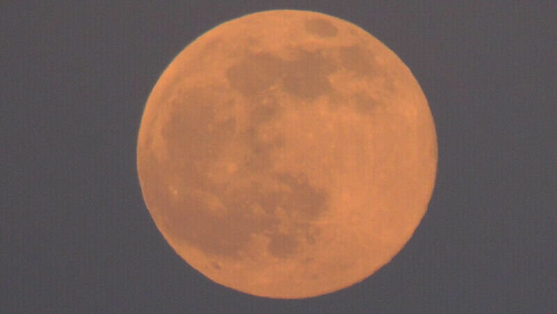     Во вторник, 7 марта, волгоградцы увидят первое весеннее полнолуние в текущем году. В Европе его называют червивым. Астрономическое событие произойдет во второй половине дня.