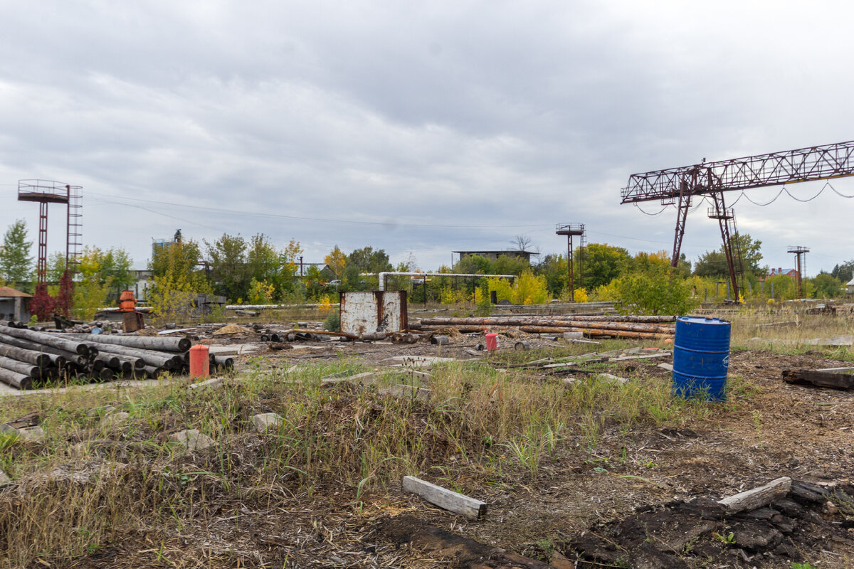 В таком удручающем состоянии сейчас находится территория