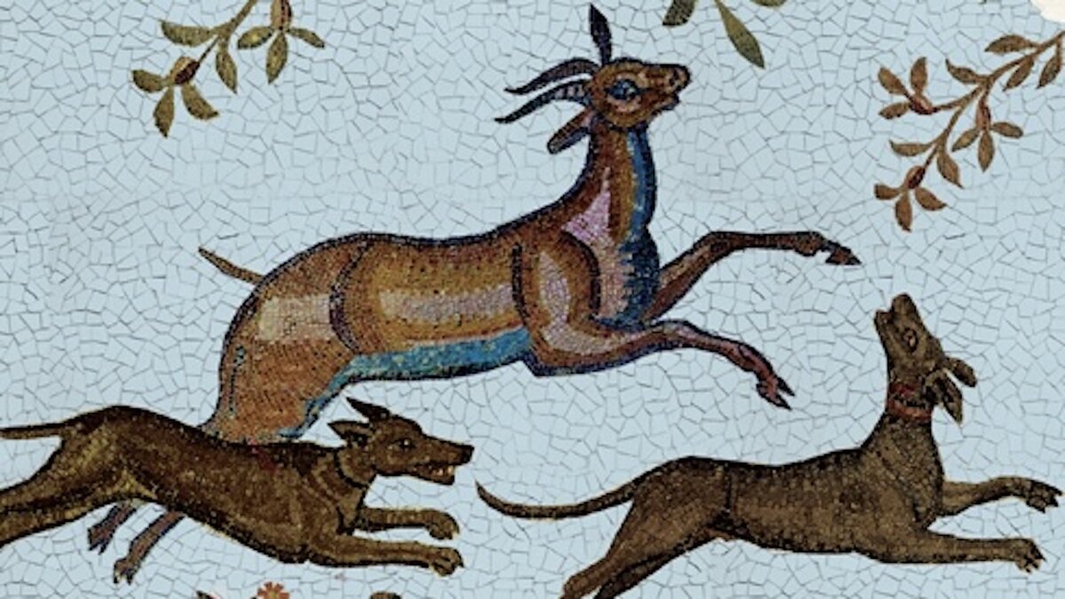 Обложка книги Аминатты