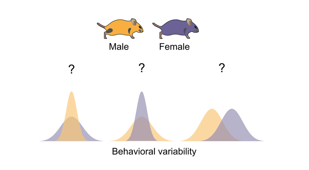   Dana Rubi Levi et al. / Current Biology, 2023