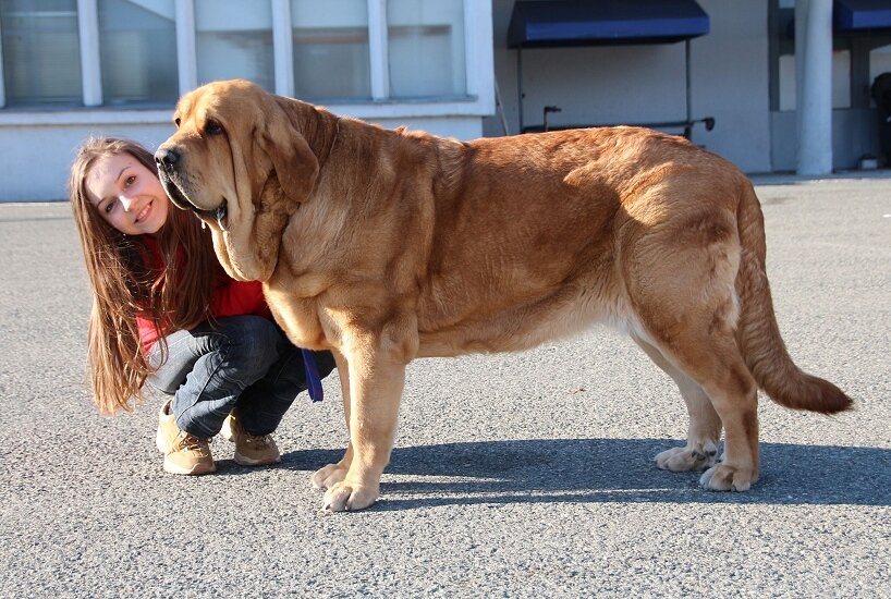 Источник www.storyblocks.com