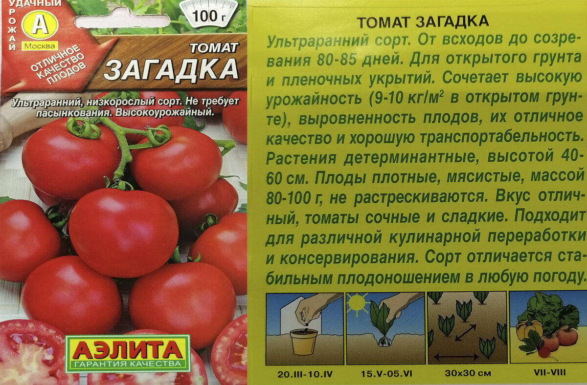 Томаты Загадка: описание сорта. Посадите и получите ранний урожай О Фазенде. Заг