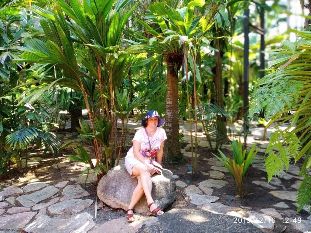 3 раз 2019 год