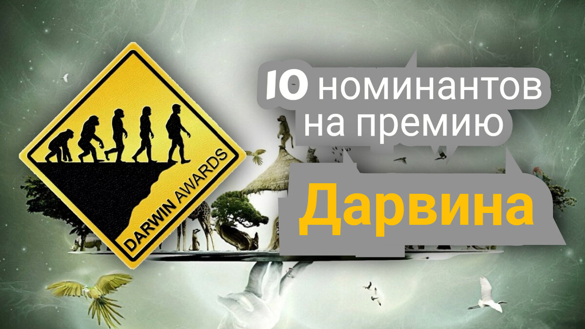10 номинантов на премию Дарвина!