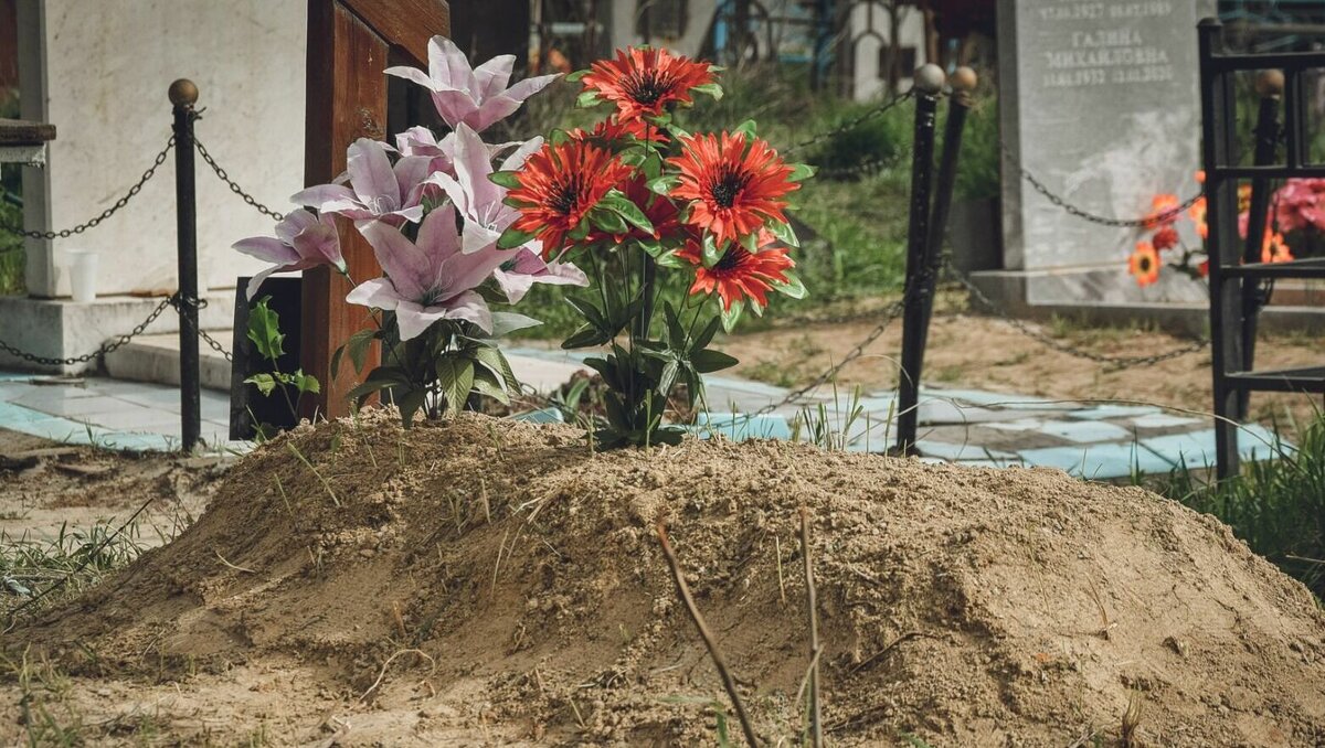     В Нижнем Новгороде выберут подрядчика, который поставит огромную партию искусственных цветов для кладбищ. Как сообщается на портале госзакупок, на эти цели будет затрачено 8,8 млн рублей.