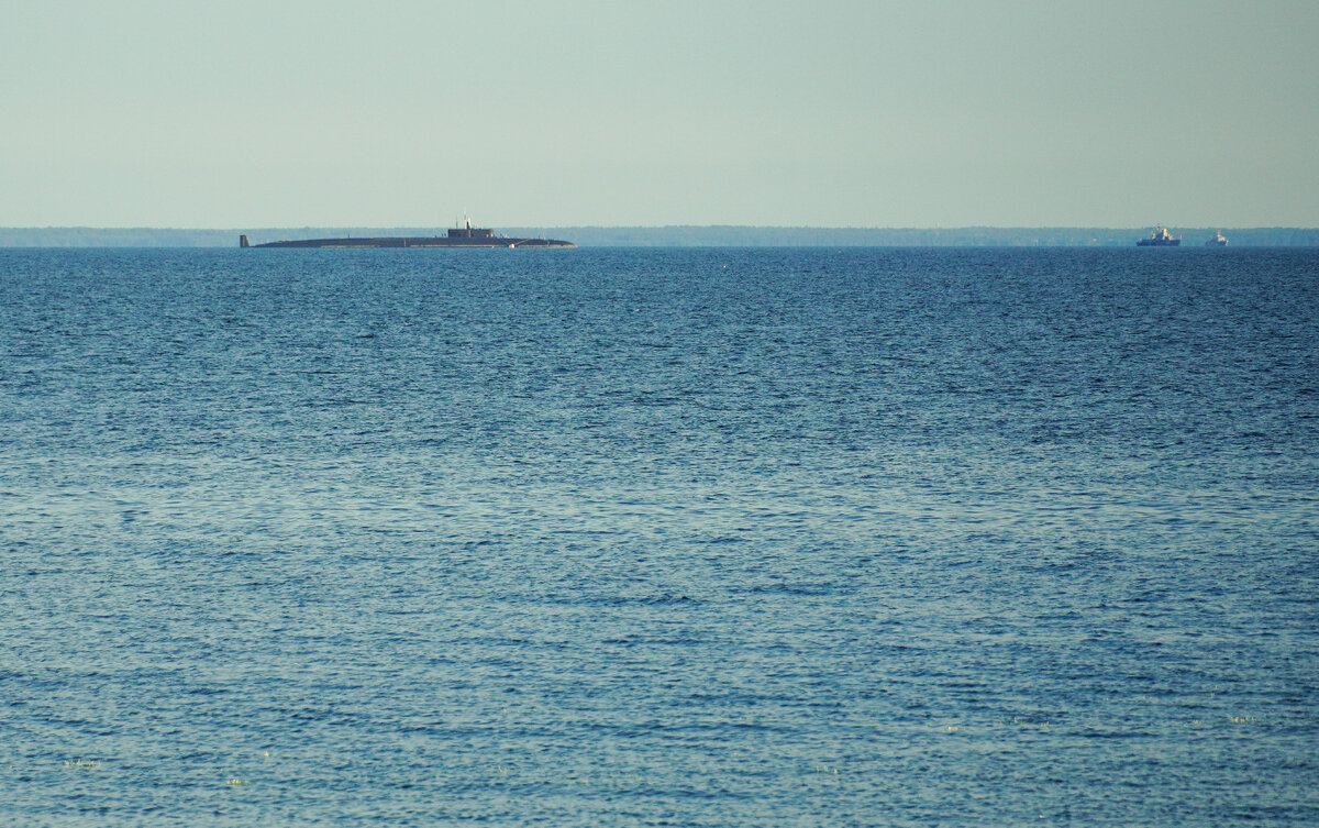   Фото: iStock/MihailTsvetkov