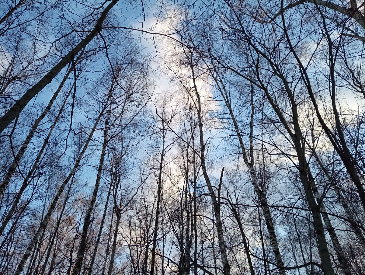 Вчера видела подозрительный жёлтый шар в небе:) Сегодня все хорошо, снова все в тучах 🙄
