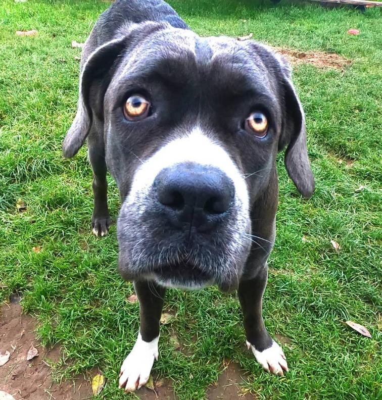 Мэри. Ноябрь 2020