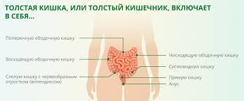 Как избавиться от запоров и наладить работу кишечника