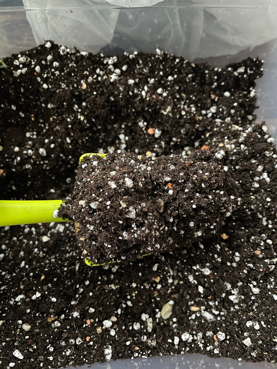 Мой идеальный грунт ✅