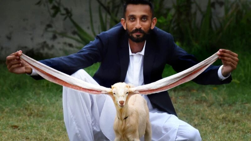 (Asif Hassan/AFP via Getty Images)