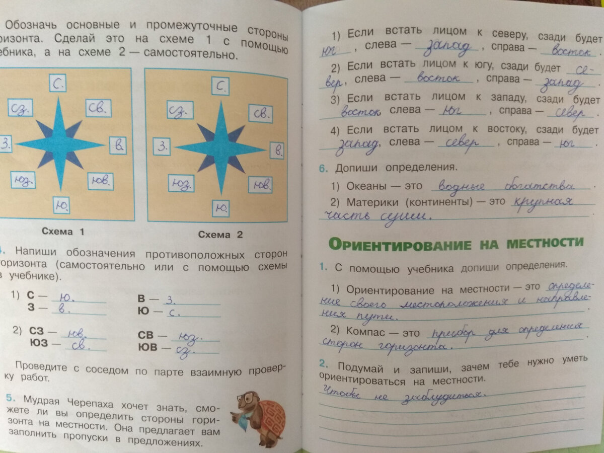 Окружающий мир и география: такие разные, но так похожи | ЕжиХа | Дзен