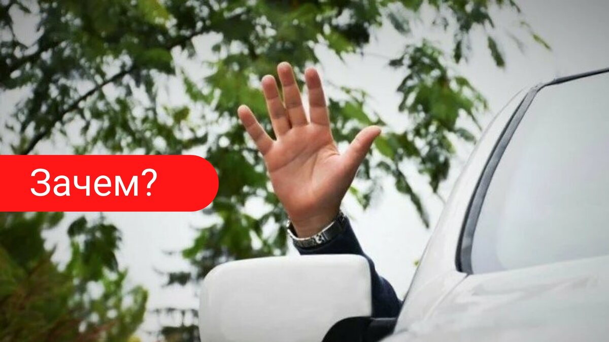 Раскрытая ладонь