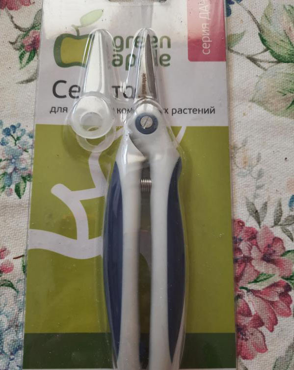 Фото Николая Страхова