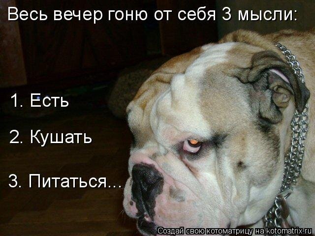 Источник фото: яндекс