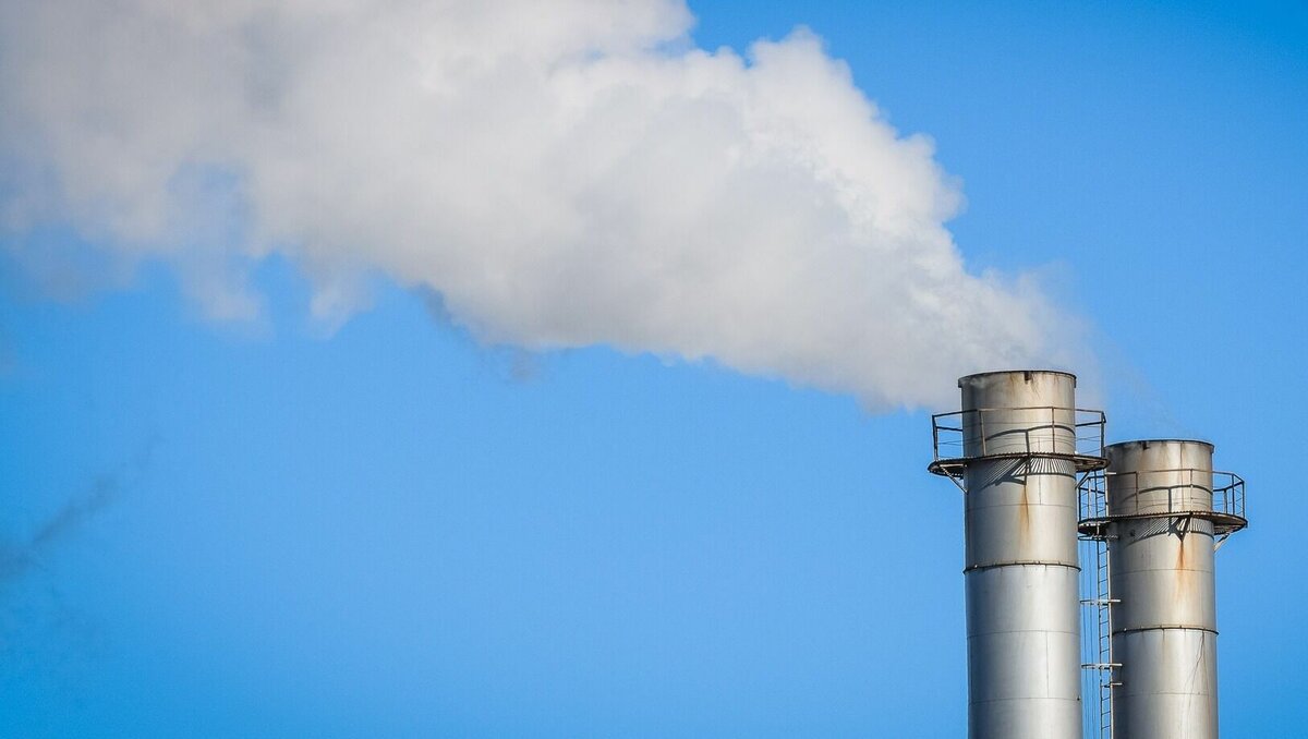     Отечественные экологические организации призвали присоединиться к международной акции «Помочь планете». Об этом пишет «ФедералПресс».