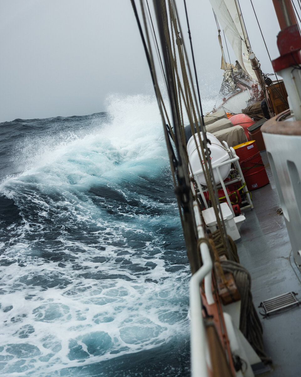 Фото: Ник Бондарев