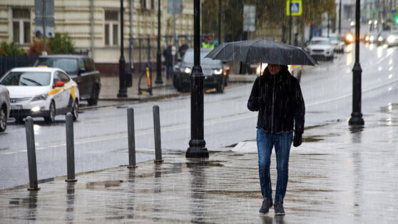    Облачно, дождь и до +10°C ожидается в Москве 29 марта Сергей Бунеев