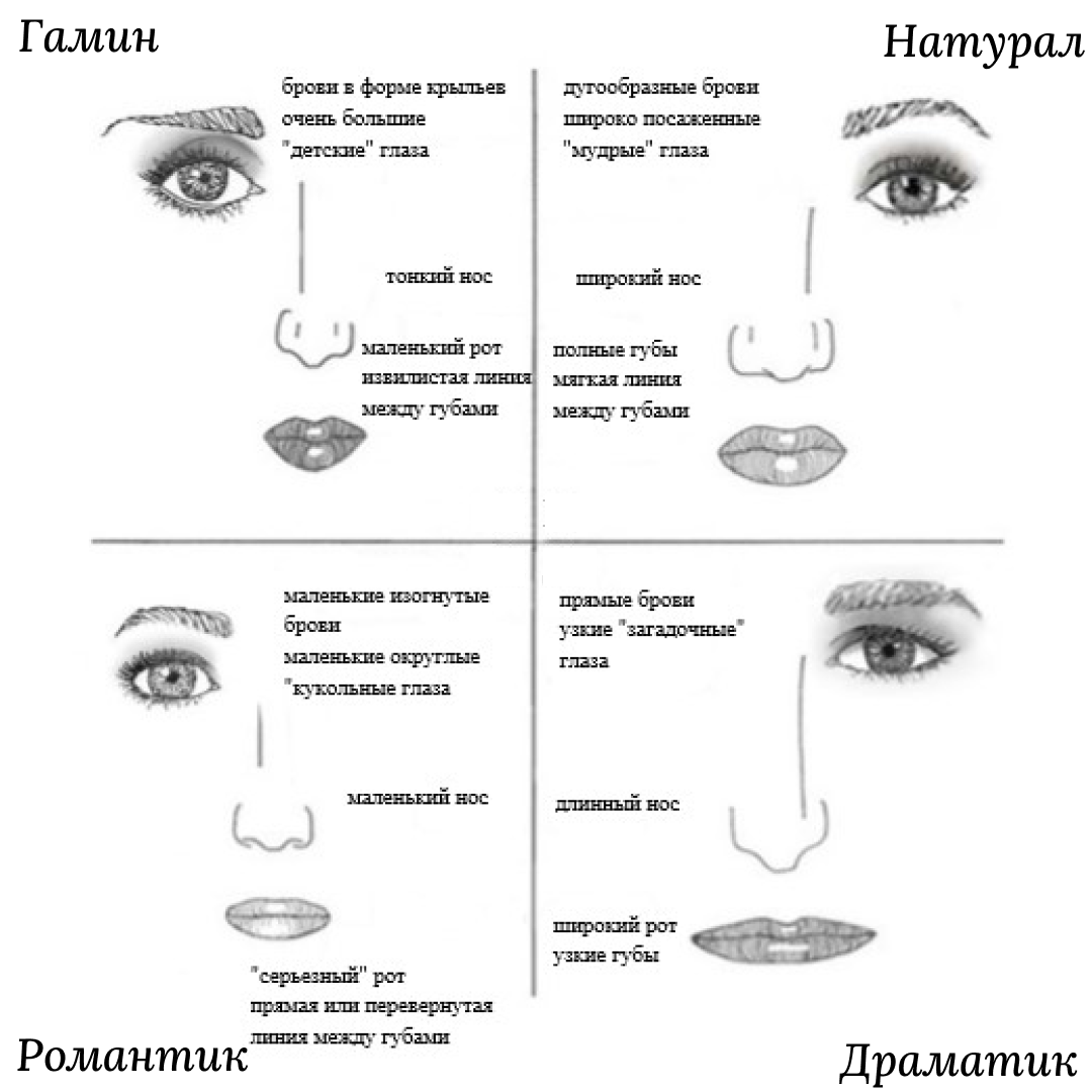 Типажи Ларсон: как определить свой? | Пан Чемодан | Дзен