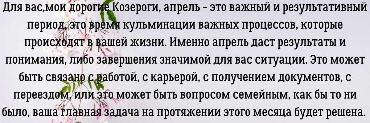 Вы можете заказать гороскоп или личный расклад по электронной почте – angelica.keiner@yandex.ru. Услуга платная. 