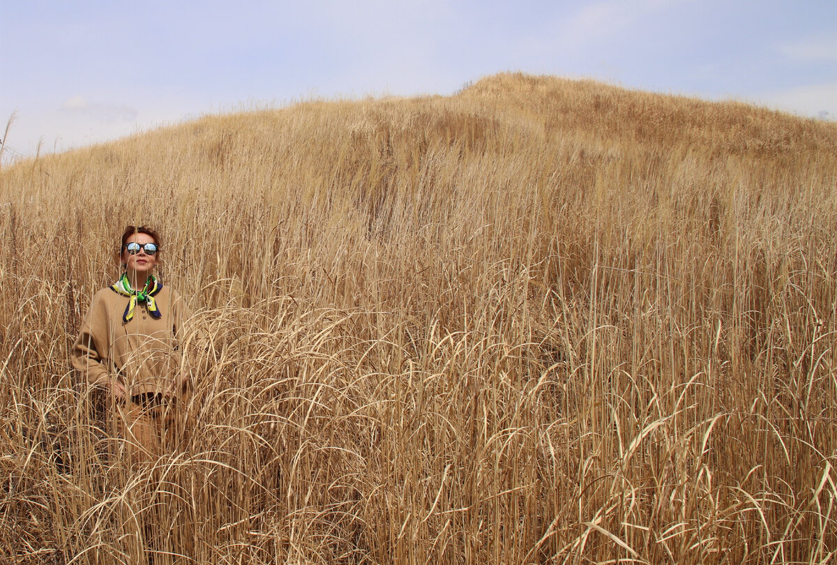 Почему японцы каждую весну поджигают склоны гор и любуются этим ...