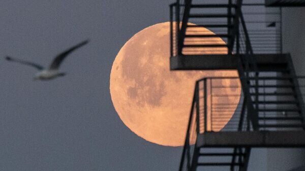    © AFP 2023 / LOIC VENANCE