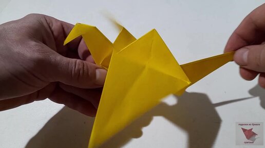 «Крылья Оригами» в Самарканде!