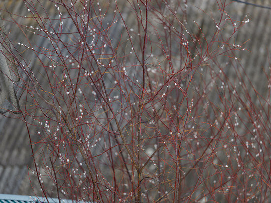     Фото: Вадим Боченков