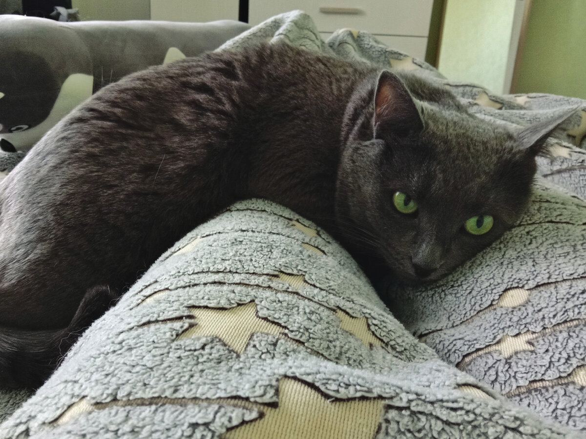 Все лежит и лежит