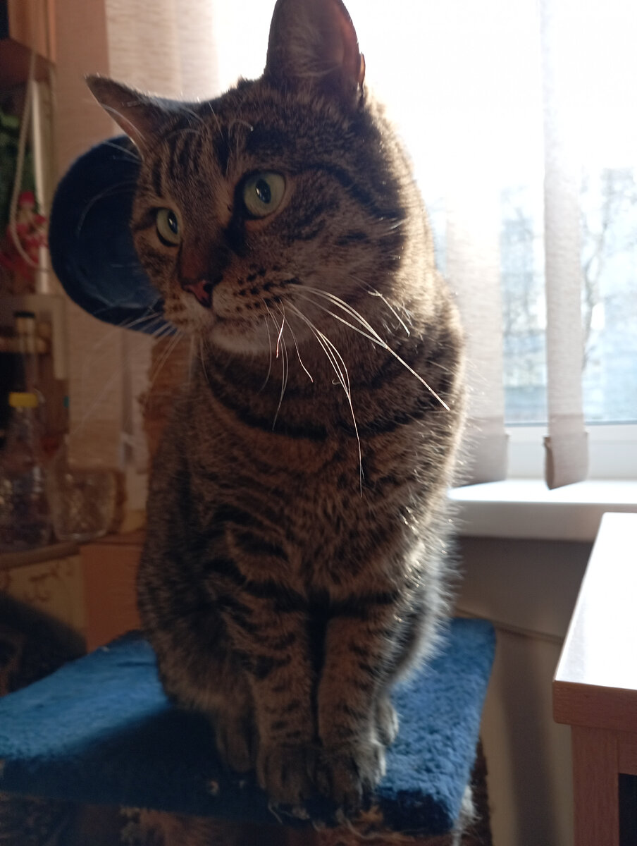 Ну и что дома делать когда весна? Грустно даже. 