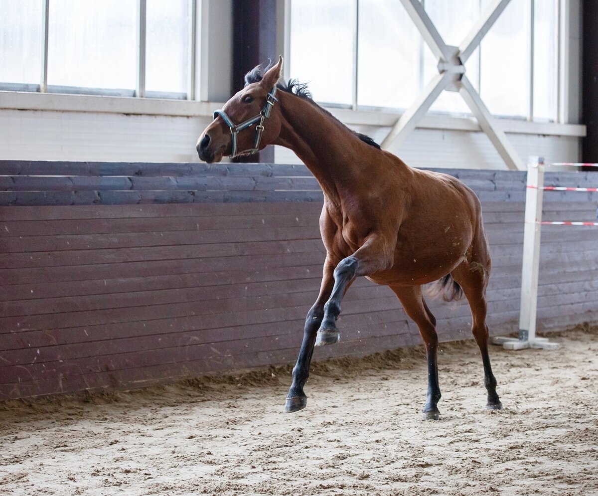 Чувствует себя отлично)))