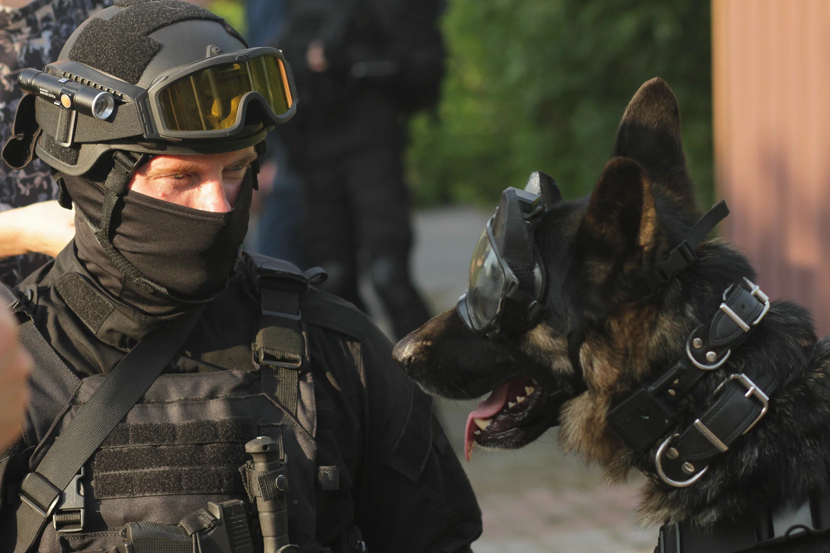 Кадр из сериала «РэмбО» / фото: kinopoisk.ru