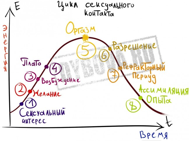 Кончают на все части тела нарезка порно онлайн