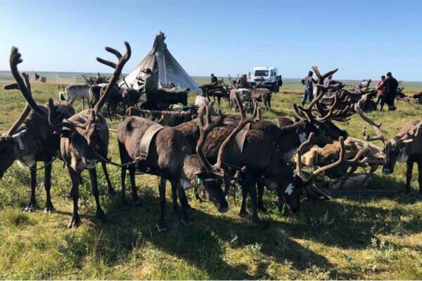    Фото: пресс-служба Правительства ЯНАО