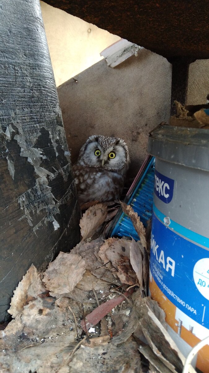 Фото сделанное лично!