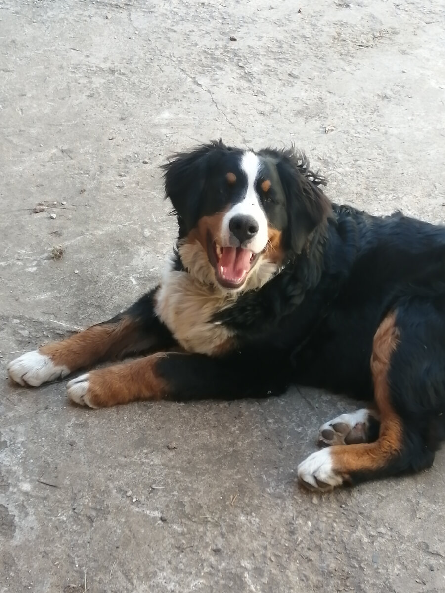 Наша Лялиссима! Как и обещала, её фото. 