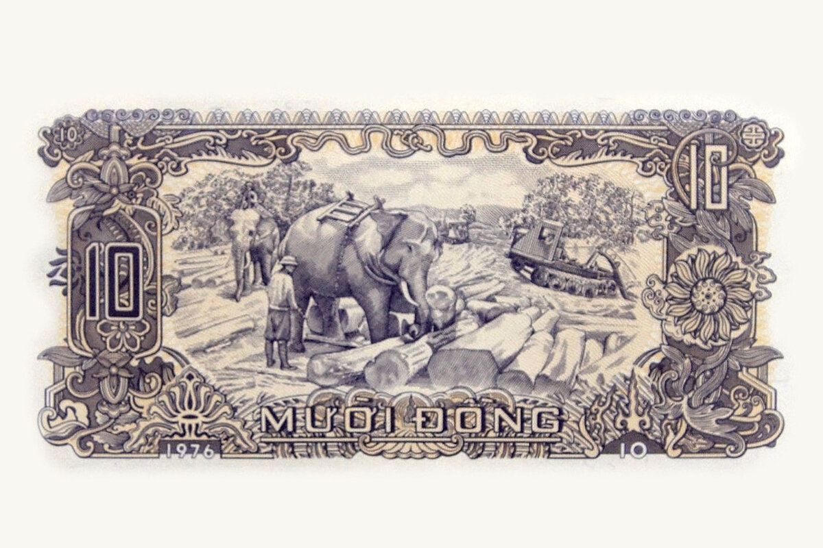 фото взято из открытых источников