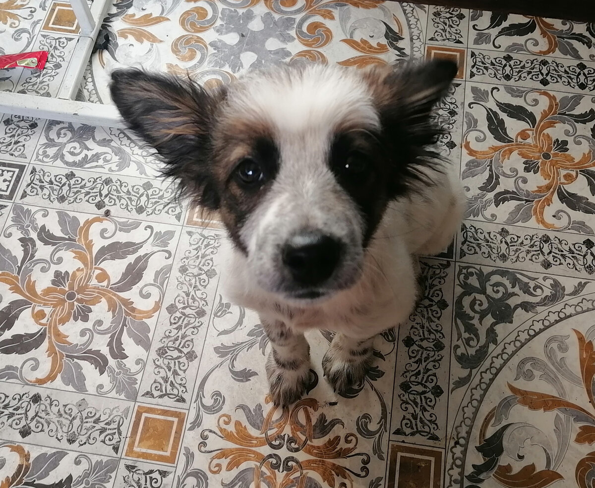 И это моя жизнь