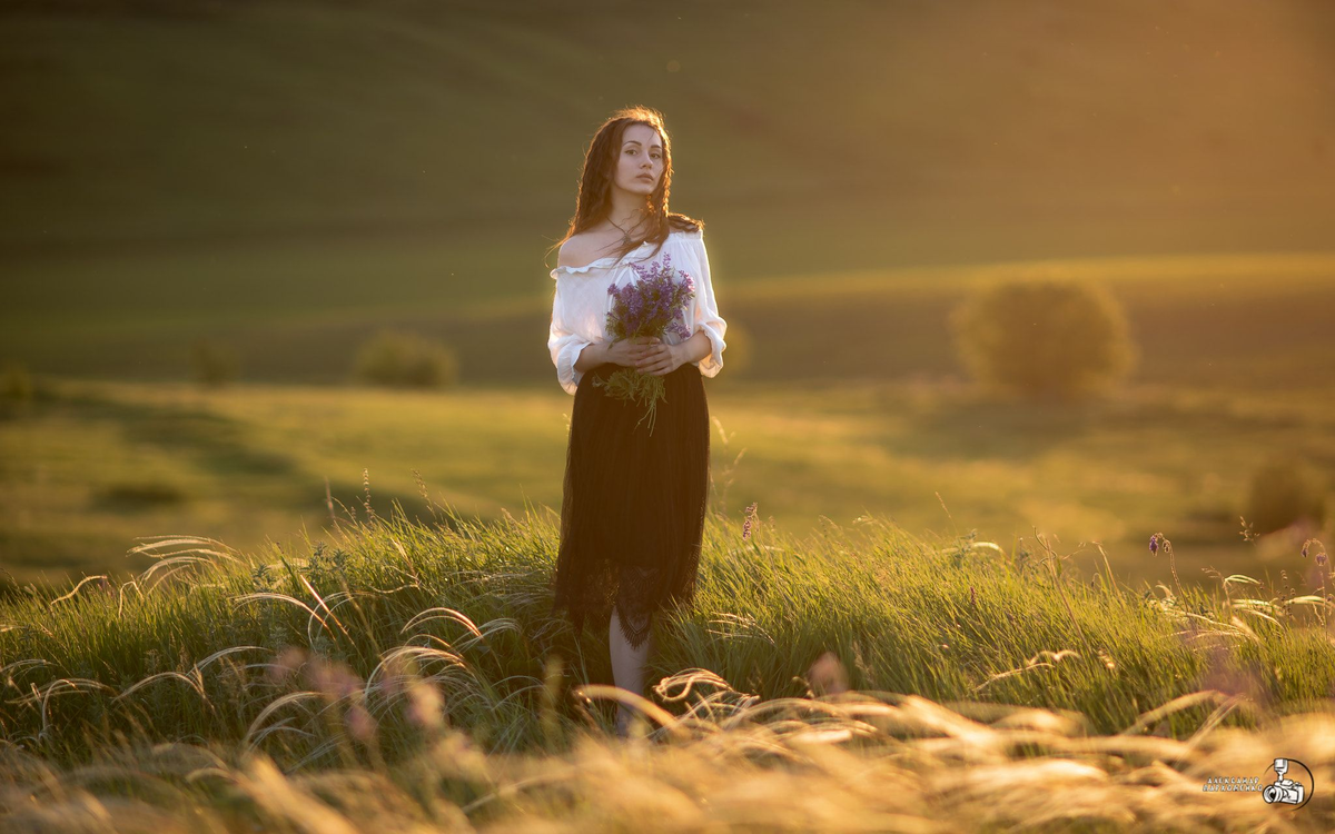 Свет в фотографии книги