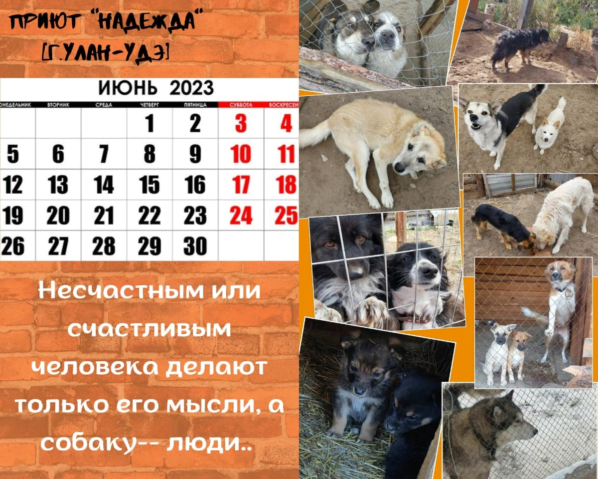 Alмазный календарь