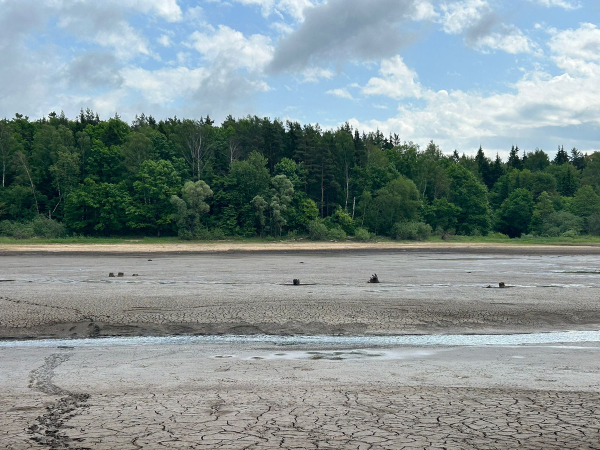 Фото: Ольга Пиночет