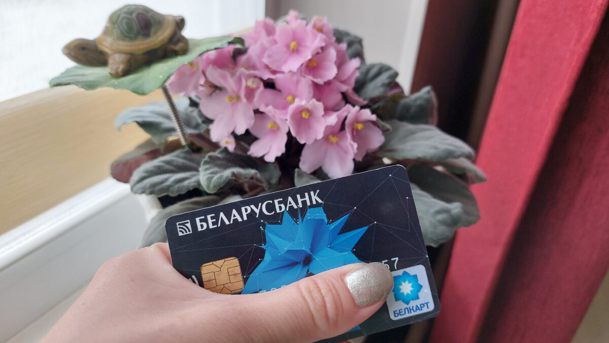 Алиментная карта на ребенка
