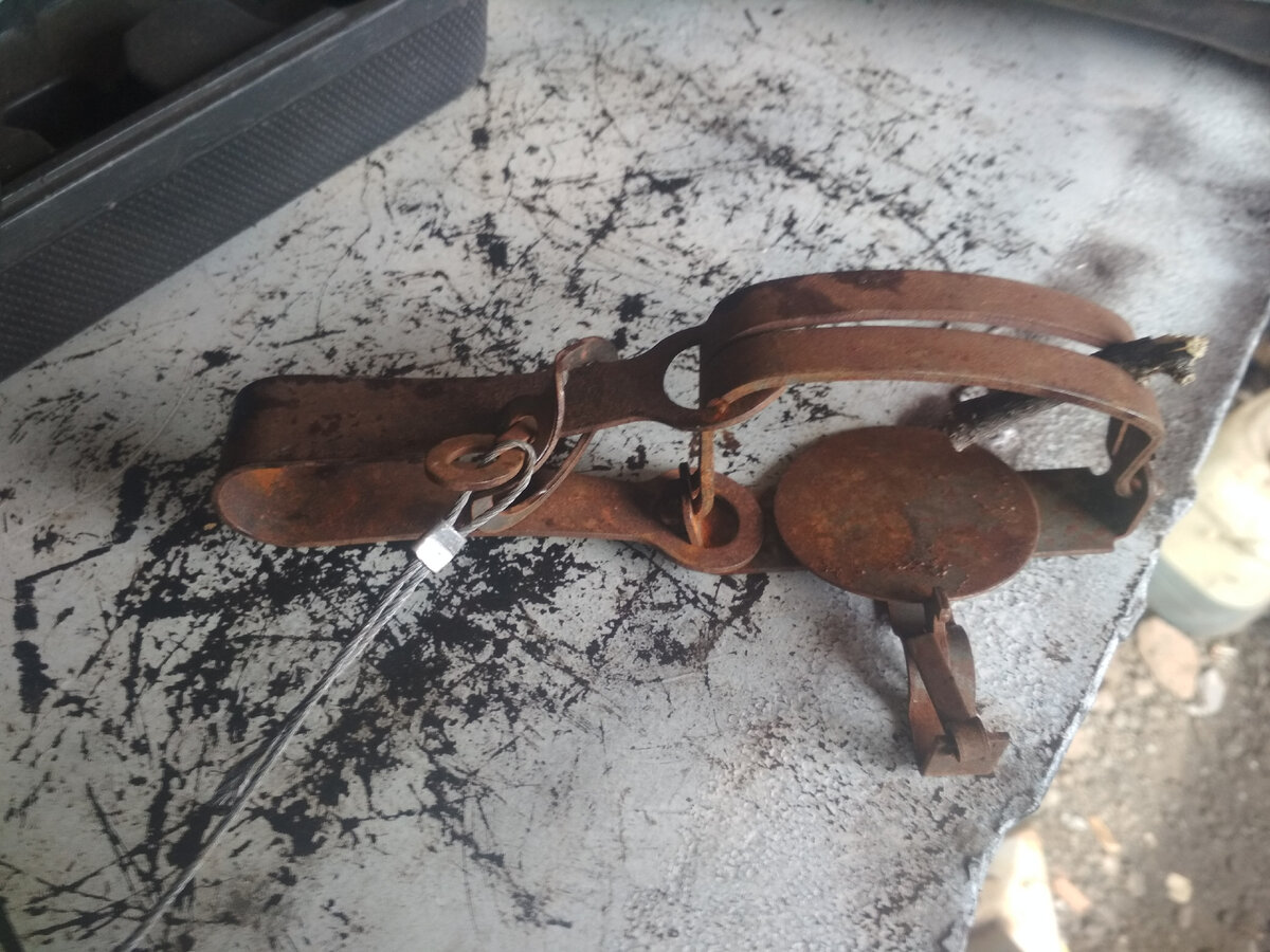 ного-захватывающий капкан