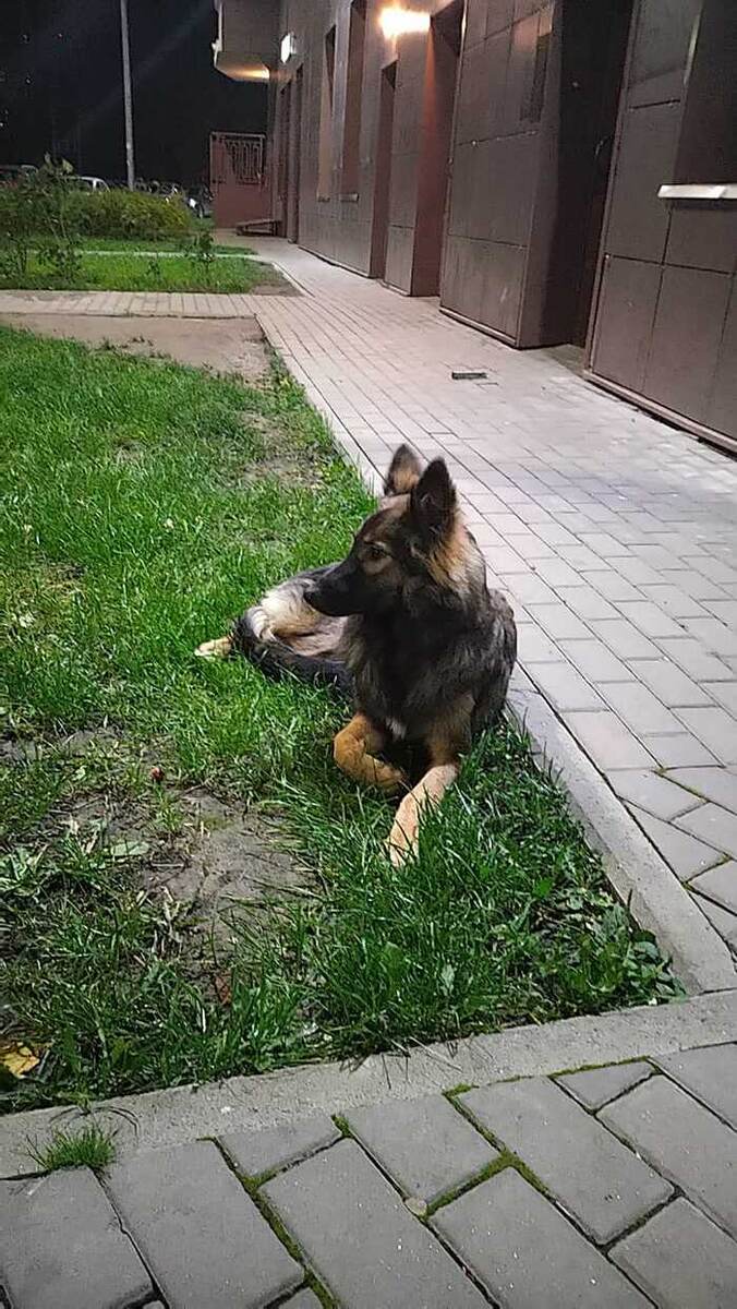 Листайте вправо, чтобы увидеть больше изображений