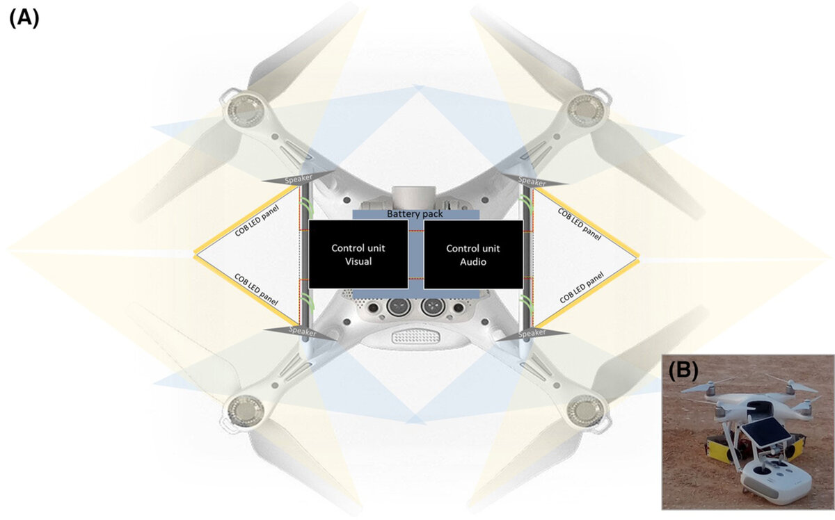   Yuval Werber et al., / Remote Sensing in Ecology and Conservation, 2022