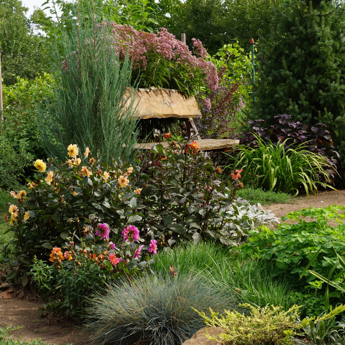 Август 2022г.