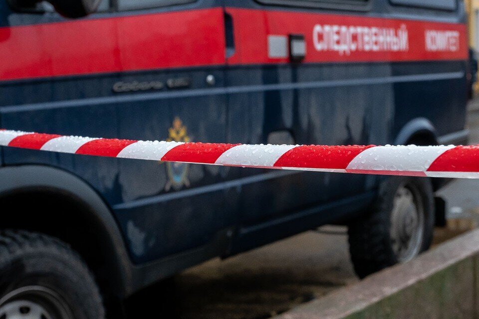     В СК Московской области возбудили уголовное дело по статье «Причинение смерти по неосторожности». Назначены экспертизы. Олег ЗОЛОТО