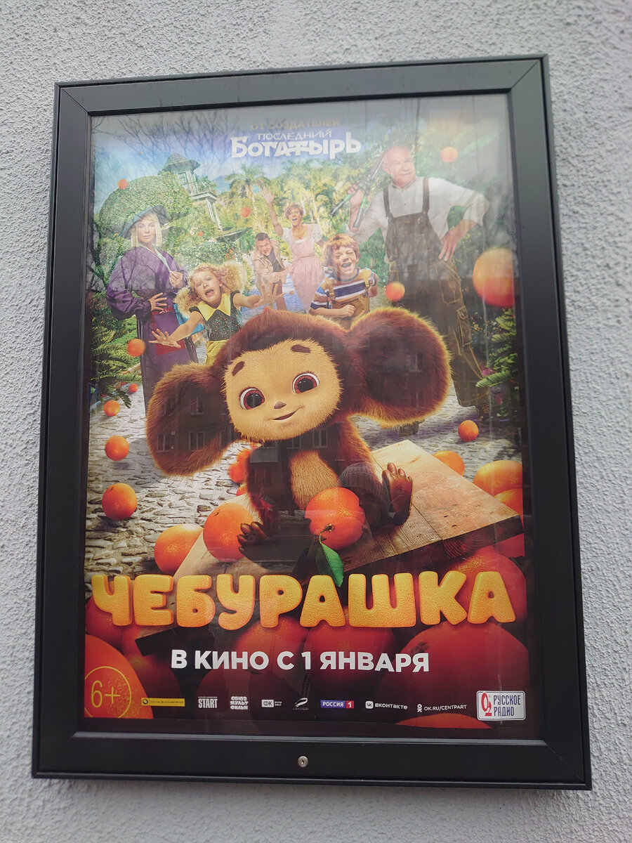 Моя фотка)