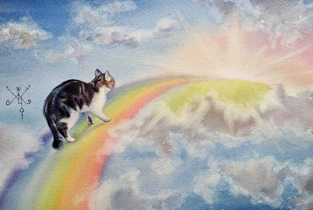 фото из интернета