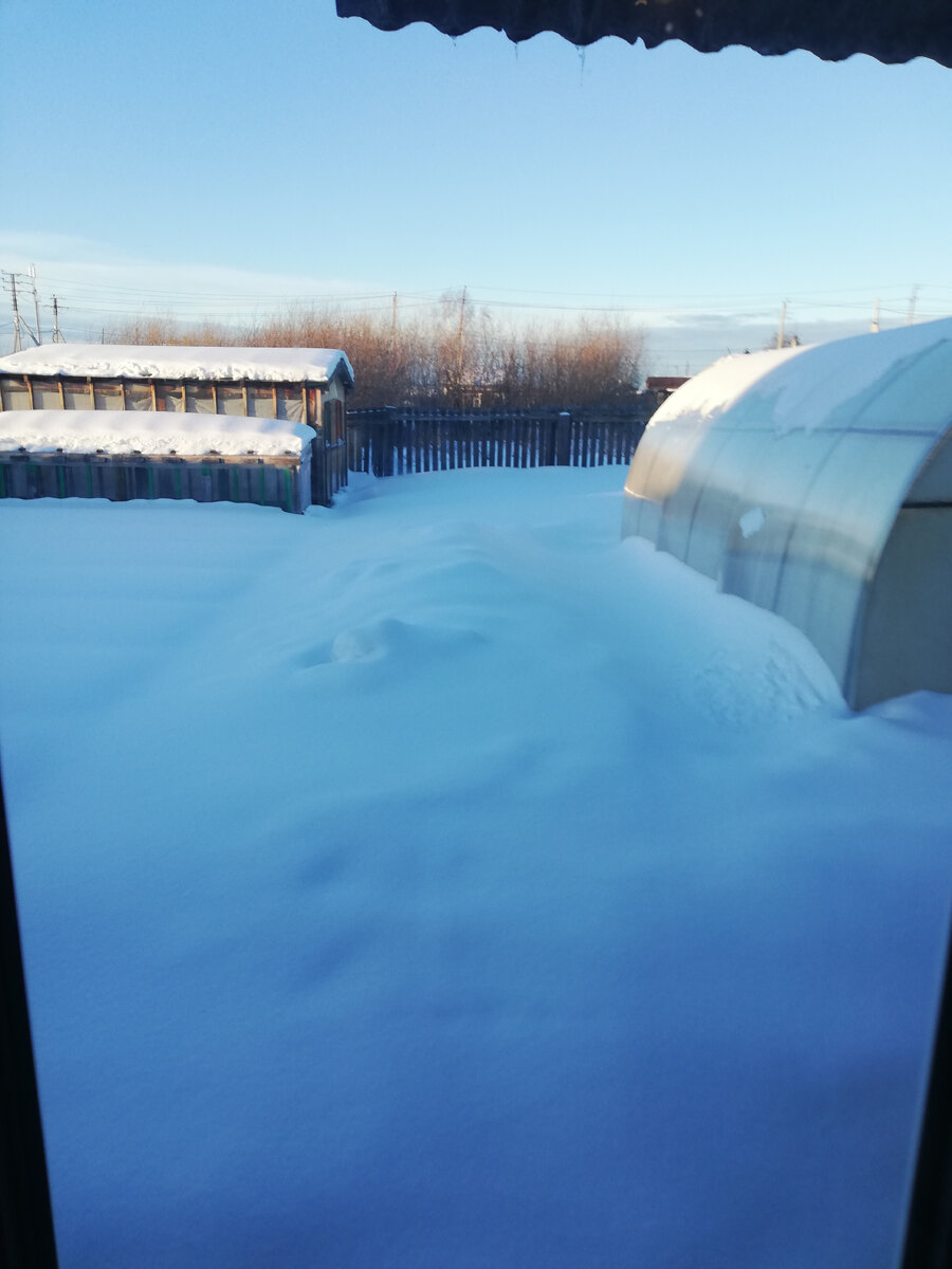 это я фотографировала  с кухни  огород.